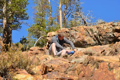 DSC_7847 (Large).JPG